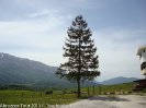 DSC00963