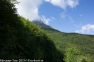 DSC00529