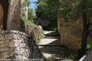 IMG_4719