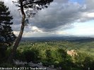 IMG_0046