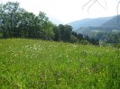 mait09_243