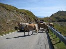 mt-sept-09--168