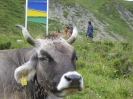 Serfaus 49