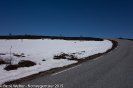 DSC01785