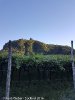20160905_182653