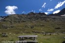 IMG_6747