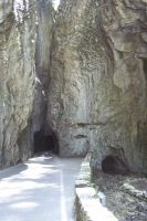 talbrasa1