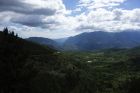 DSC00535