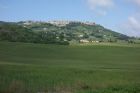 DSC00568