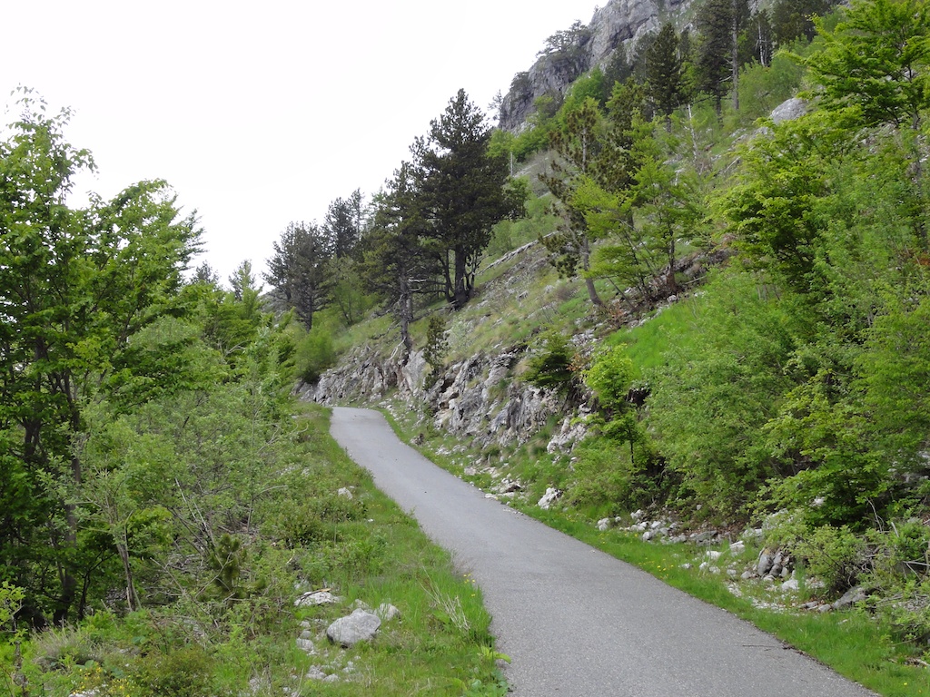 2 009